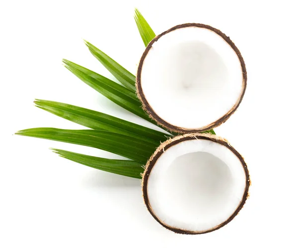 Orzechy Kokosowe Liśćmi Wyizolowanymi Białym Tle — Zdjęcie stockowe