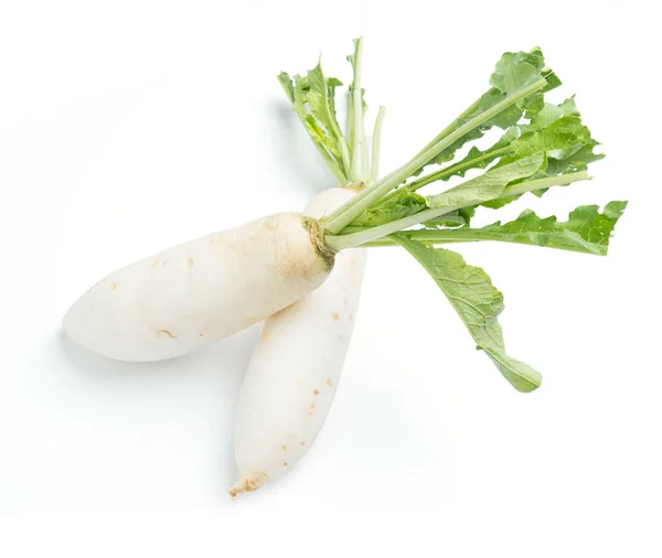 Rábanos Daikon Aislados Sobre Fondo Blanco — Foto de Stock