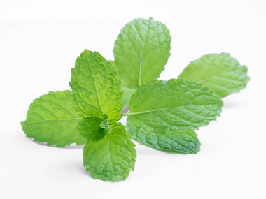 Beyaz arkaplanda izole edilmiş taze çiğ nane yaprakları