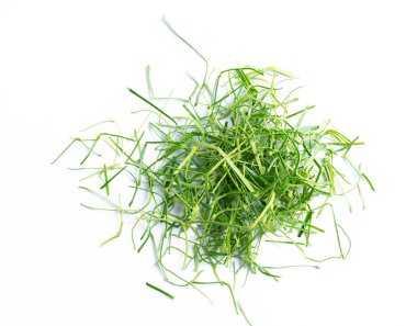 Güney Afrika'da bir kabile kireç yaprakları beyaz arka plan üzerinde slayt