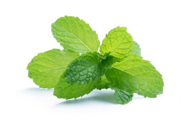 Beyaz arkaplanda izole edilmiş taze çiğ nane yaprakları