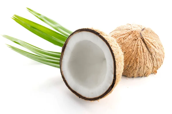 Noci Cocco Con Foglie Isolate Sullo Sfondo Bianco — Foto Stock