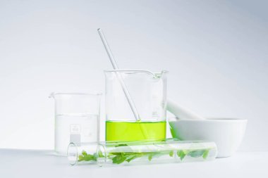 Bitkisel tıp doğal organik ve bilimsel cam araştırması.