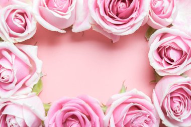pembe bir arka plan üzerinde pembe gül çiçekli çerçeve