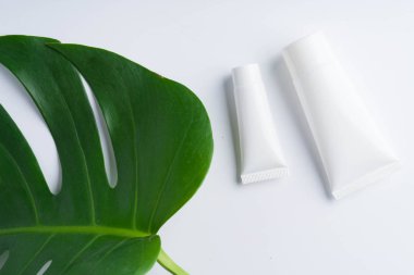 Güzel doğal kozmetik ve açık renkli yapraklarda