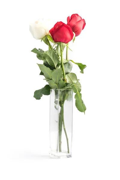 Όμορφα Κόκκινα Τριαντάφυλλα Λευκό Φόντο — Φωτογραφία Αρχείου