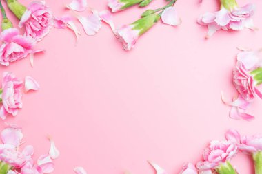 Pembe arka plan için pembe karanfiller.