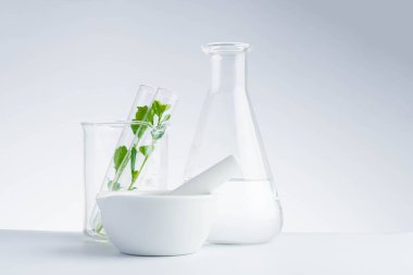 Bitkisel tıp doğal organik ve bilimsel cam araştırması.