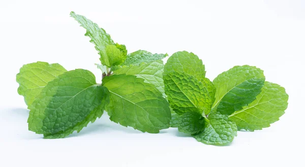 Daun Mint Mentah Segar Terisolasi Pada Latar Belakang Putih — Stok Foto