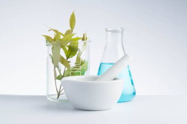 Bitkisel tıp doğal organik ve bilimsel cam araştırması.