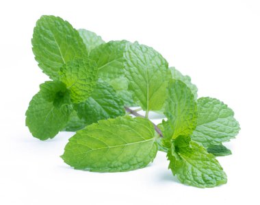 Beyaz arkaplanda izole edilmiş taze çiğ nane yaprakları