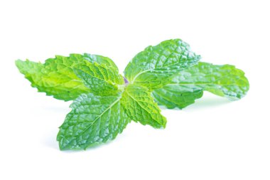 Beyaz arkaplanda izole edilmiş taze çiğ nane yaprakları