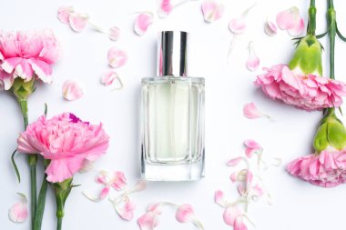 Güzel parfüm şişeleri ve beyaz arka planda pembe karanfiller.