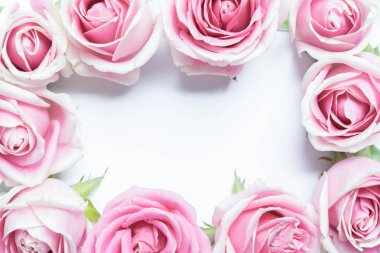 Beyaz arka plan üzerinde pembe Gül çiçekli çerçeve