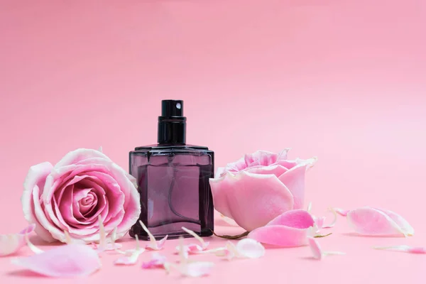 Hermosas Botellas Perfume Sobre Fondo Rosa —  Fotos de Stock