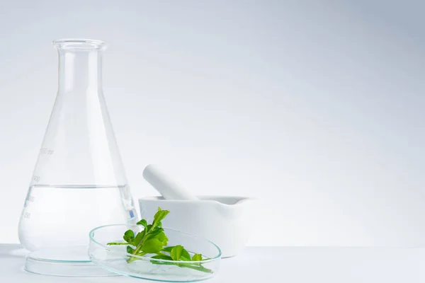 Herbal Obat Organik Alam Dan Ilmiah Glassware Penelitian — Stok Foto