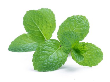 Beyaz arkaplanda izole edilmiş taze çiğ nane yaprakları