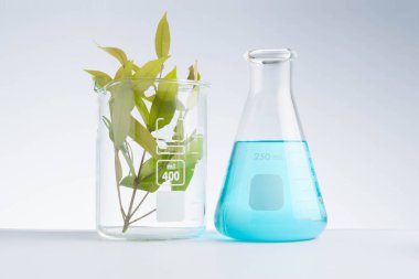 Bitkisel tıp doğal organik ve bilimsel cam araştırması.