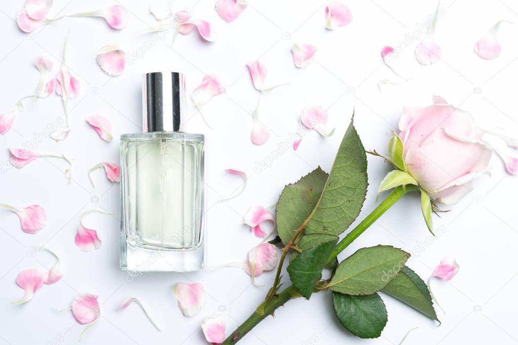 Beautiful perfume bottles  and rose on white background