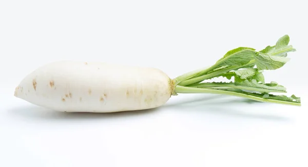 Daikon Radijsjes Geïsoleerd Witte Achtergrond — Stockfoto