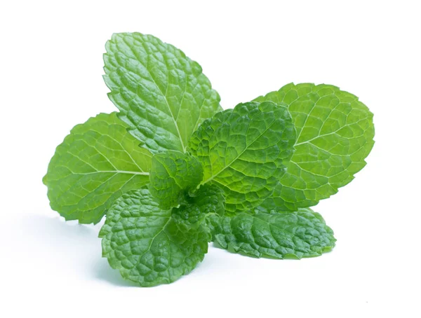 Fresh Raw Mint Leaves Isolated White Background — Stock Photo, Image