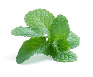 Beyaz arkaplanda izole edilmiş taze çiğ nane yaprakları