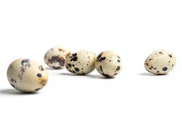 Groep Kwarteleitjes Zijn Geïsoleerd Een Witte Achtergrond — Stockfoto