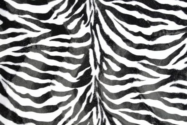 Zebra Hud Textur Mönster Bakgrund — Stockfoto