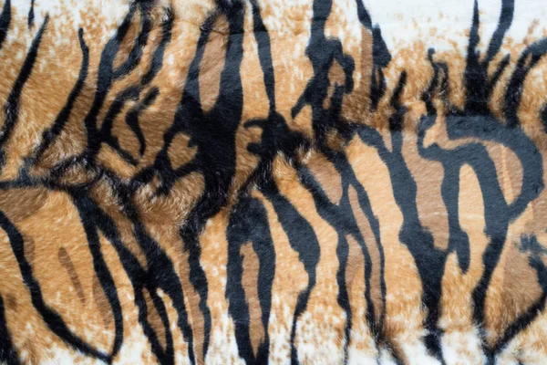 美丽的老虎纹理背景 — 图库照片