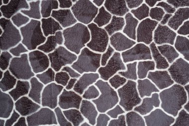 güzel zürafa arka plan doku