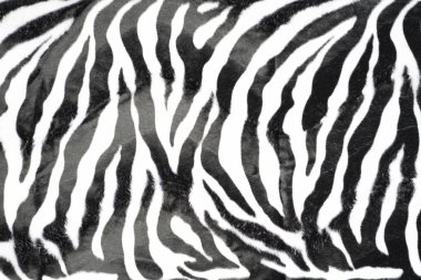 Zebra deri doku desen arka plan