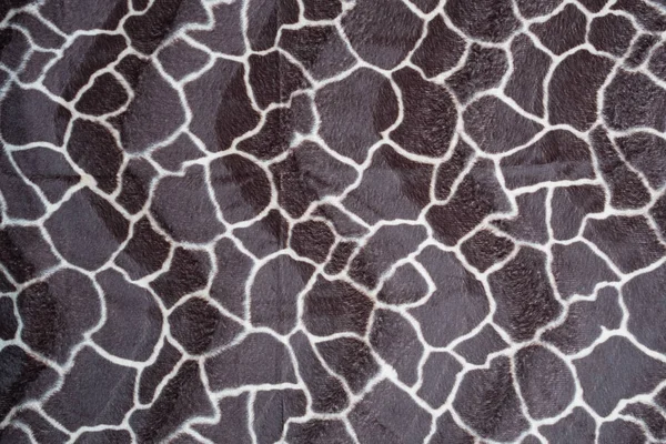 Красивий Фон Текстури Жирафа — стокове фото