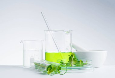 Bitkisel tıp doğal organik ve bilimsel cam araştırması.