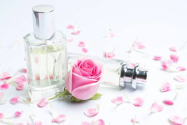 Schöne Parfümflaschen Und Rose Auf Weißem Hintergrund — Stockfoto