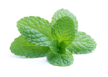 Beyaz arkaplanda izole edilmiş taze çiğ nane yaprakları