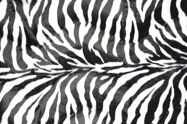 Zebra deri doku desen arka plan