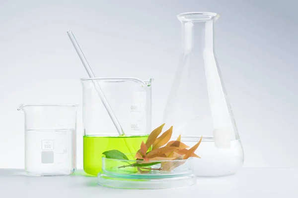 漢方薬天然有機 科学用ガラス製品の研究 — ストック写真