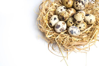 bıldırcın yumurtası beyaz arka plan üzerinde üstten görünüm izole bir yuvaya