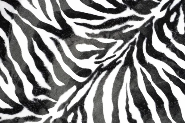 Zebra Hud Textur Mönster Bakgrund — Stockfoto