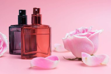 Pembe arka planda güzel parfüm şişeleri