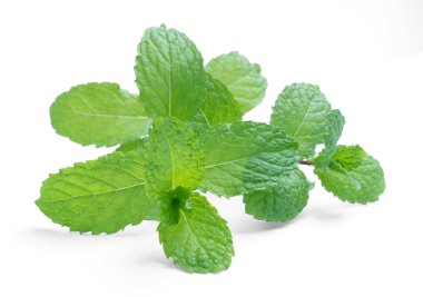 Beyaz arkaplanda izole edilmiş taze çiğ nane yaprakları