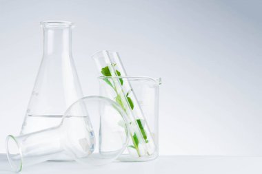 Bitkisel tıp doğal organik ve bilimsel cam araştırması.