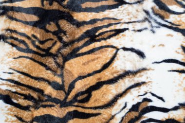 Güzel kaplan arka plan doku