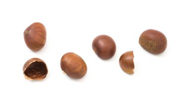 Beyaz arka plan üzerinde at kestanesi izole