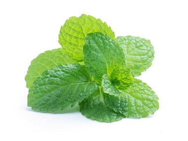 Beyaz arkaplanda izole edilmiş taze çiğ nane yaprakları