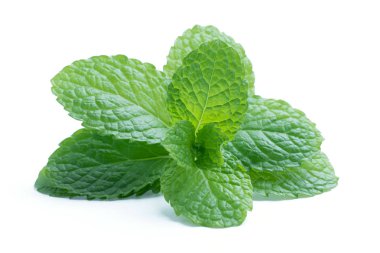 Beyaz arkaplanda izole edilmiş taze çiğ nane yaprakları