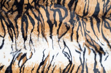 Güzel kaplan arka plan doku