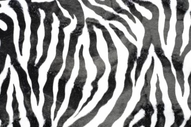 Zebra deri doku desen arka plan