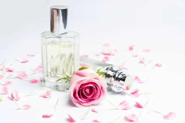 Schöne Parfümflaschen Und Rose Auf Weißem Hintergrund — Stockfoto