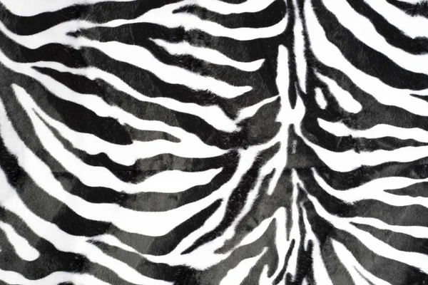 zebra skin texture pattern background